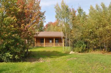 Cabin  Johnson