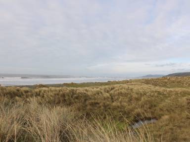 Cottage Borth