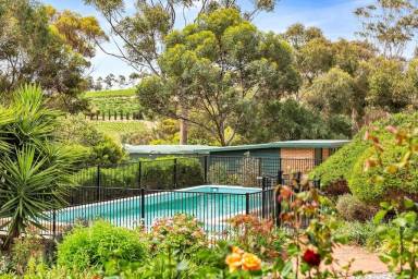 House McLaren Vale