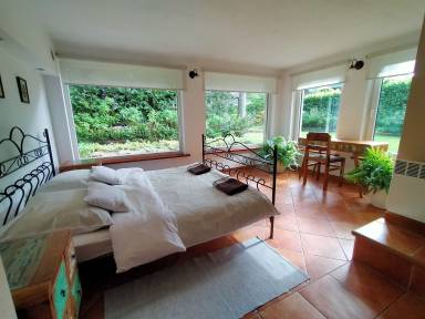 Apartament Zalesie