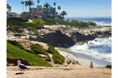 Mieszkanie La Jolla