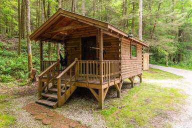Cabin  Slade