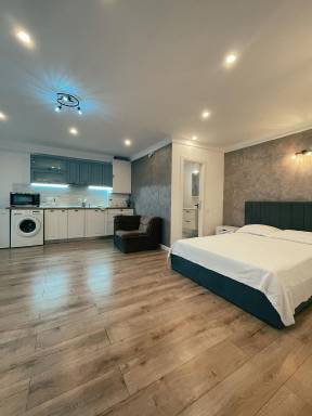 Apartment Targu Mures