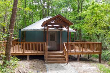 Cabin Livingston