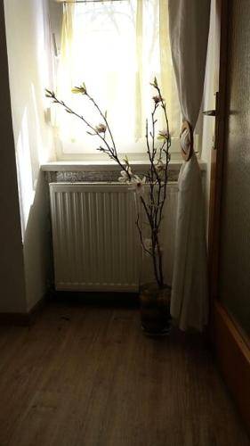 Bed and breakfast  Stetten