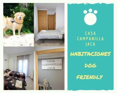 Bed and breakfast  Jaca