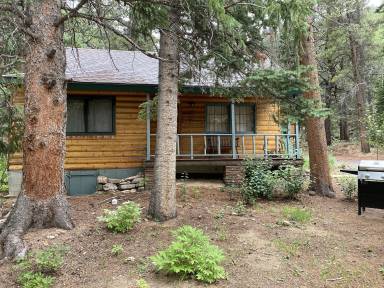 Cabin Allenspark