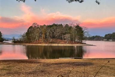 House  Lake Hamilton