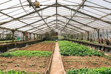 Farmhouse  Vimercate