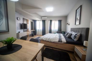 Apartment Novi Sad