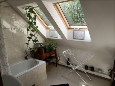 Apartament Wizna