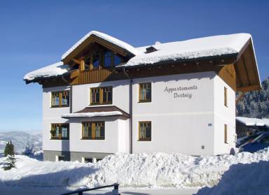 Ferienwohnung Flachau