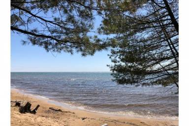Cottage East Tawas