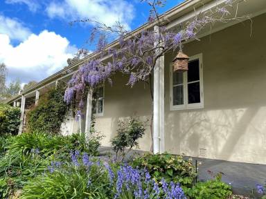 Cottage Mylor