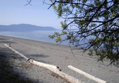 House Lummi Island