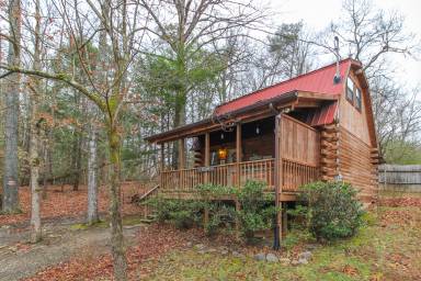 Cabin Townsend