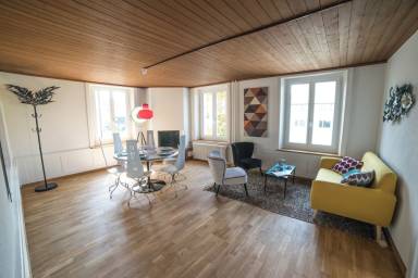 Apartment Uster District