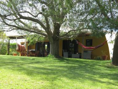 House Barão de São João