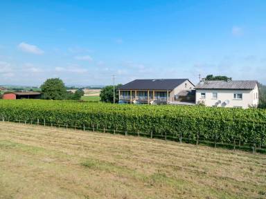 Apartment  Stetten a.H.