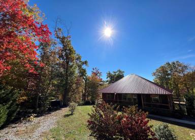 Cabin Spencer