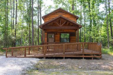 Cabin Livingston