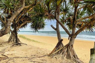 House Caloundra