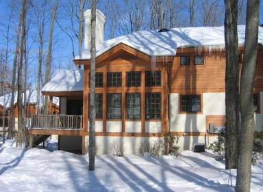 Condo Boyne Falls