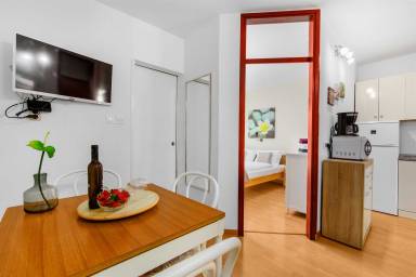 Apartment  Rošini