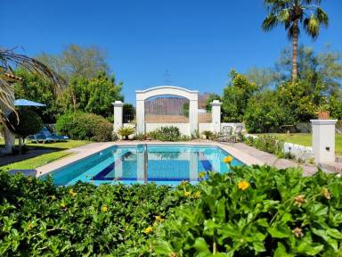 Bed & Breakfast  San Carlos