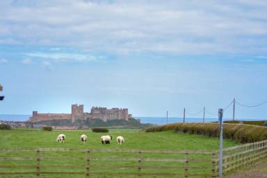 Cottage Bamburgh