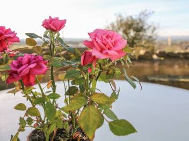 Cottage Ingleton