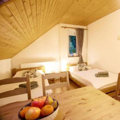 Serviced apartment  Bedřichov