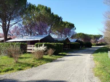 Tente Manosque