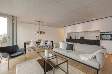 Apartment  Basel