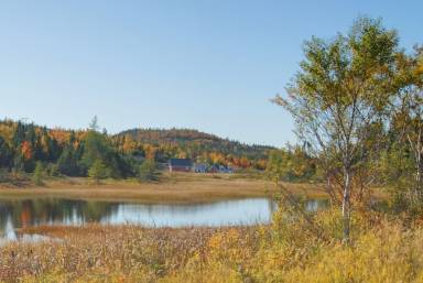 Cabin Corner Brook