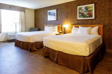 Motel  Elko