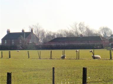 House  Nawton