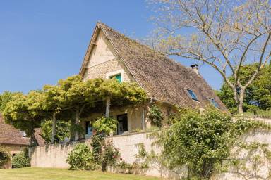 Maison de vacances Thenon