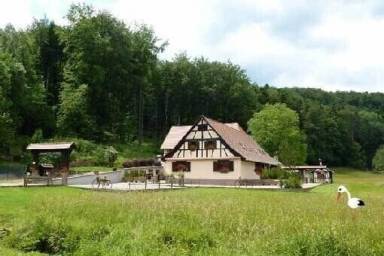 Casa de campo Wangenbourg-Engenthal