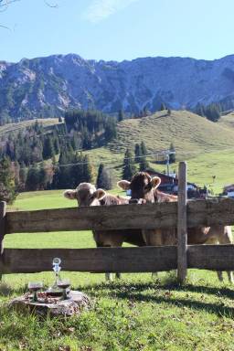Ferienwohnung Oberjoch