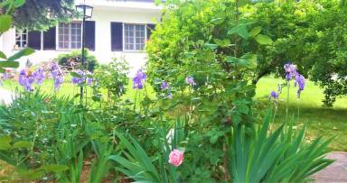 Bed & Breakfast Bagnolo Piemonte