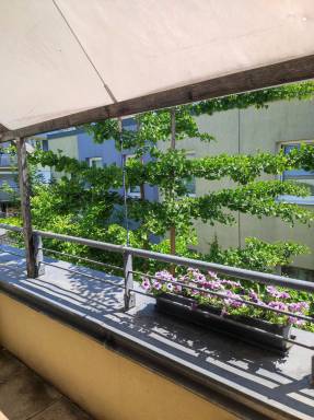 Apartment Donaustadt