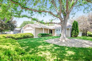 House Nampa