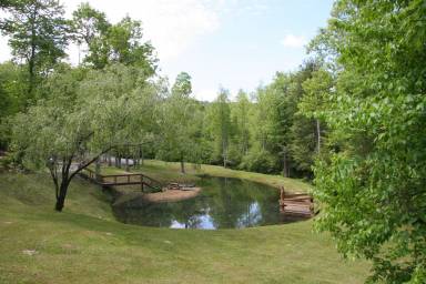 Cabin Black Mountain