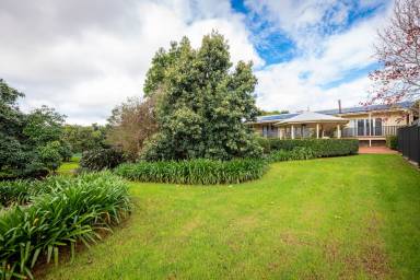 Bed and breakfast  Canungra