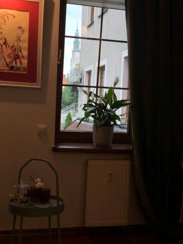 Apartament Częstochowa