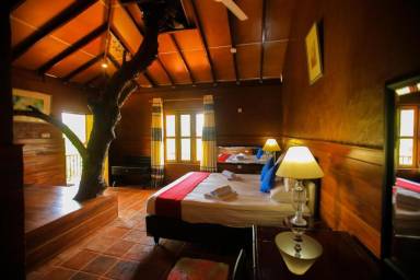 Feriested  Dambulla