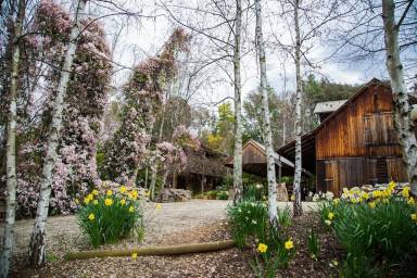 House  Falls Creek
