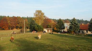 Ferienwohnung Warthe