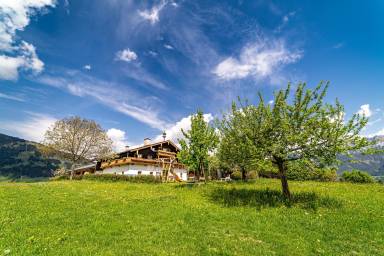 Ferienwohnung Gemeinde Saalfelden am Steinernen Meer